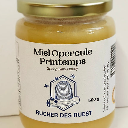 Miel d’opercule printemps